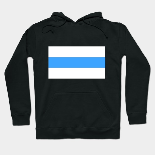 New Russian Flag - white blue white. Hoodie by d o r r i a n